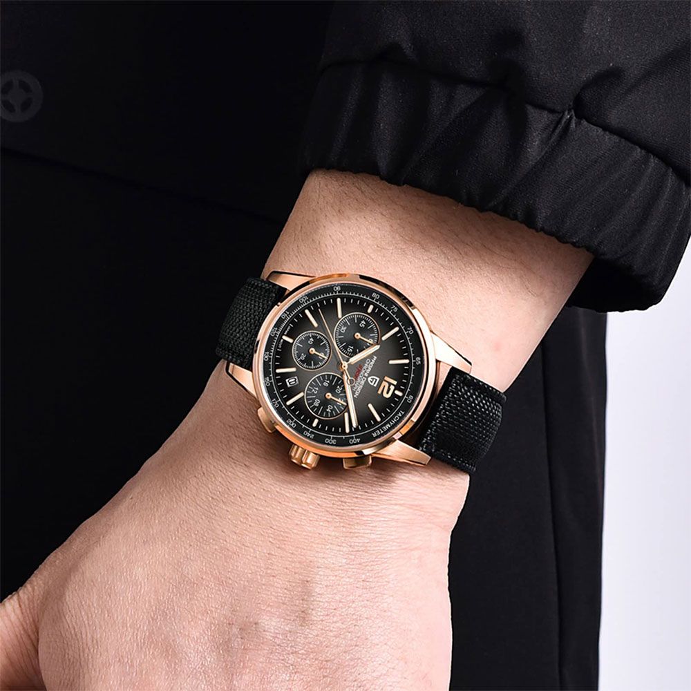PAGANI DESIGN New Mens Watch 4 - огляд і ціна Luxury Quartz Watch Brands