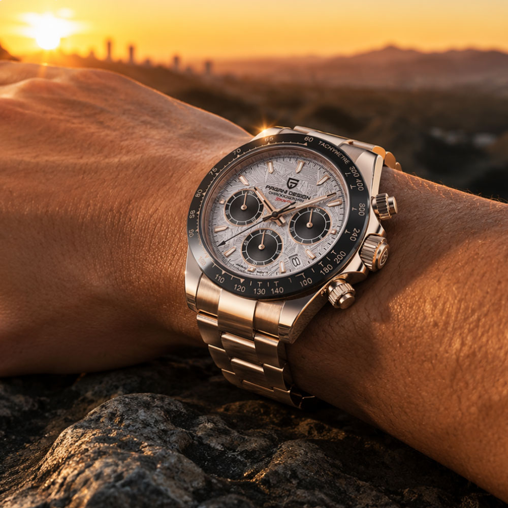 Top Brand PAGANI DESIGN Luxury - огляд і ціна Luxury Quartz Watch Brands